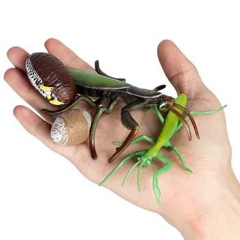 Varmt Simulering Dyr, et Insekt, Model Mini Dyr Praying Mantis Vækst Cyklus Ornamenter Børn Kognitiv Pædagogisk Legetøj for Børn
